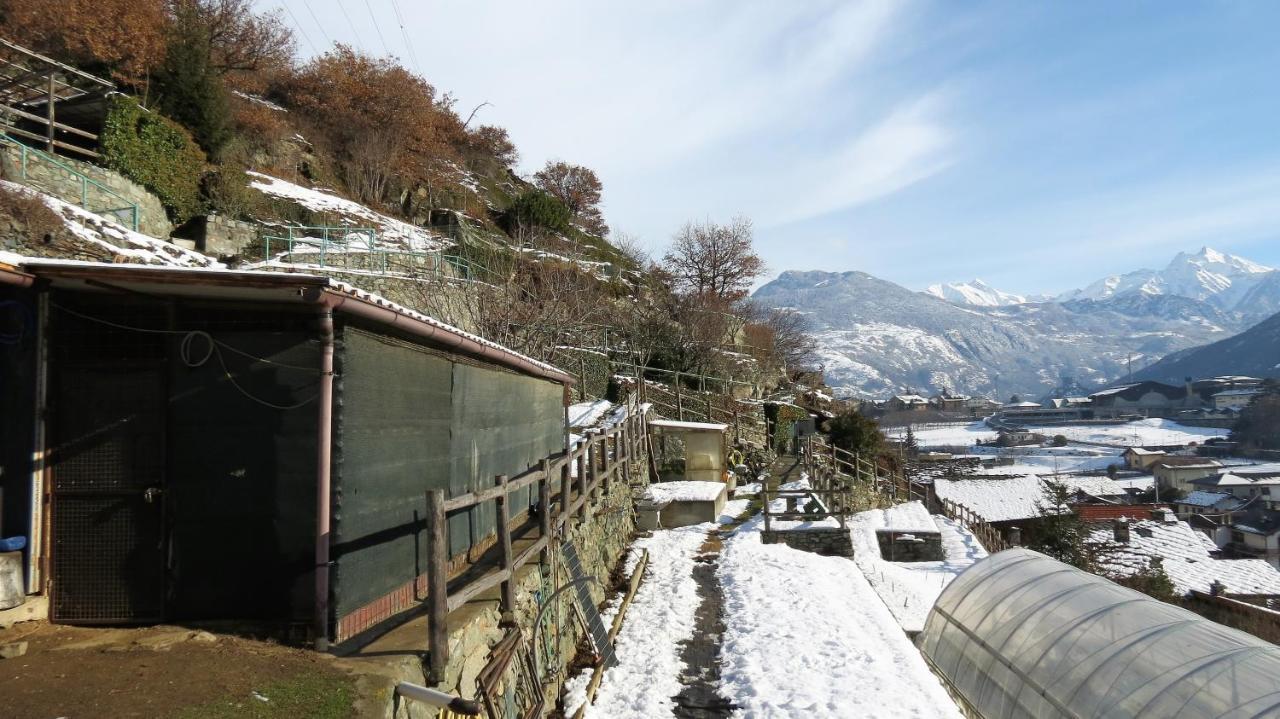 Lo Gnomo Sotto Al Glicine Apartment Chatillon