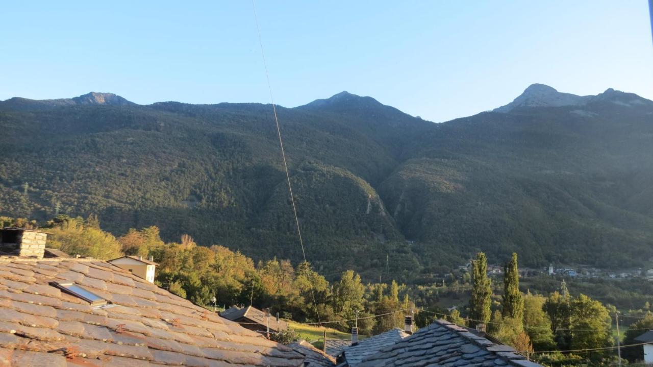 Lo Gnomo Sotto Al Glicine *